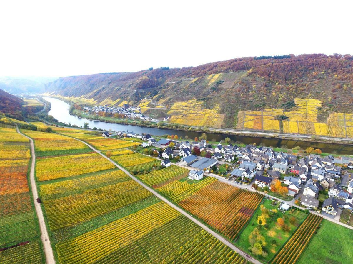 Ferienwohnungen Georg Andre Soehne エルンスト エクステリア 写真